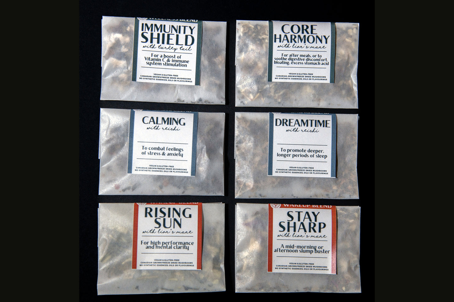 Sampler Tin - Choose Your Own Adventure