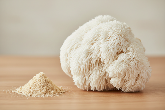 Understanding "Extracts": The difference between dual-extract and simple mushroom powder